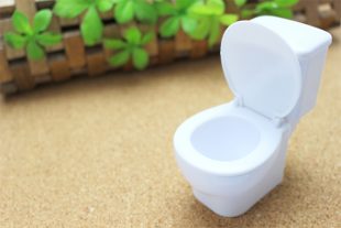大阪で飲食店のメニュー・販促物の制作は「おいしいデザイン.com」 トイレの真面目なおはなし イメージ画像